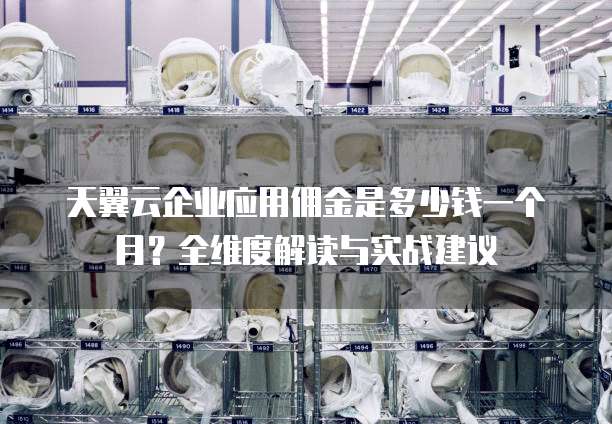 天翼云企业应用佣金是多少钱一个月？全维度解读与实战建议  