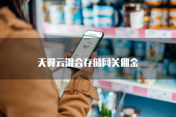 天翼云混合存储网关佣金