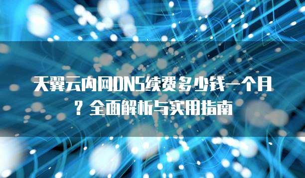 天翼云内网DNS续费多少钱一个月?全面解析与实用指南