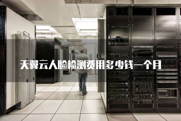 天翼云人脸检测费用多少钱一个月