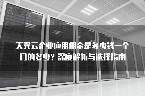 天翼云企业应用佣金是多少钱一个月的多少?深度解析与选择指南