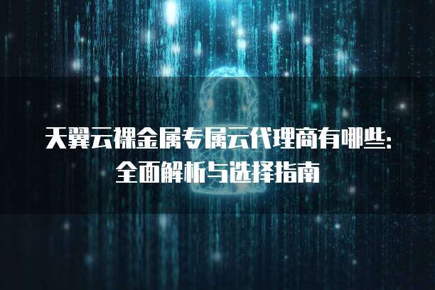 天翼云裸金属专属云代理商有哪些：全面解析与选择指南