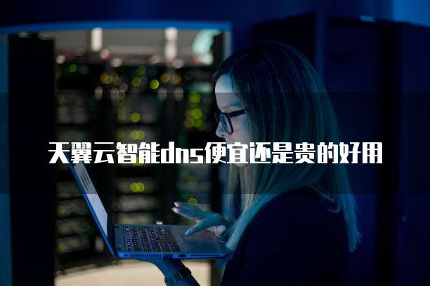 天翼云智能dns便宜还是贵的好用