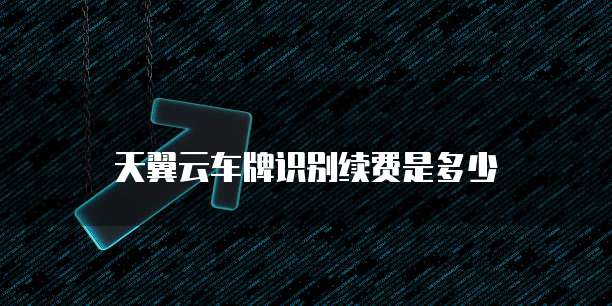 天翼云车牌识别续费是多少