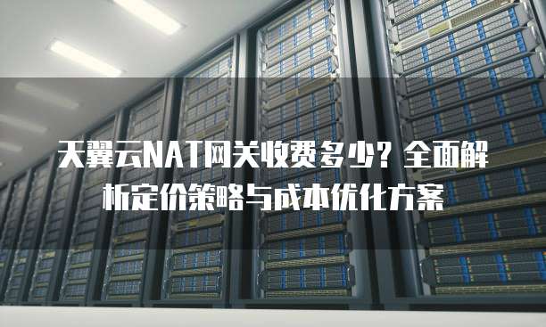 天翼云NAT网关收费多少?全面解析定价策略与成本优化方案