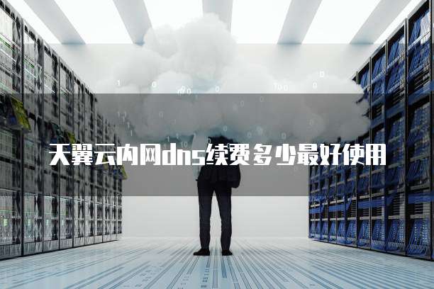 天翼云内网dns续费多少最好使用