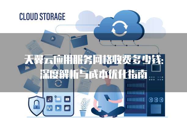 天翼云应用服务网格收费多少钱：深度解析与成本优化指南