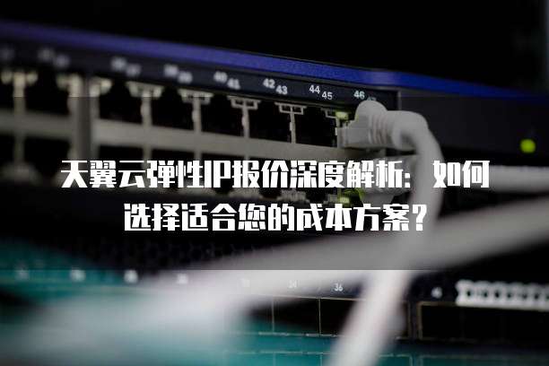 天翼云弹性IP报价深度解析：如何选择适合您的成本方案？