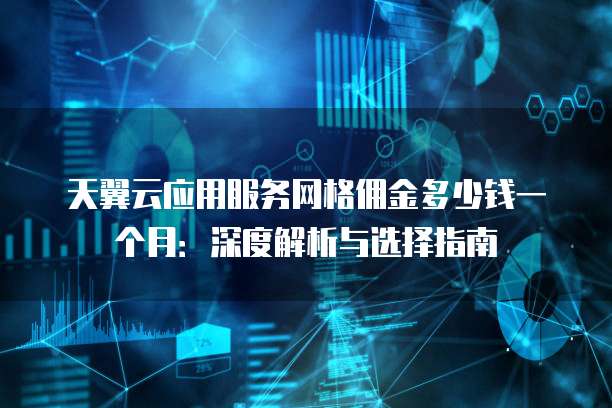 天翼云应用服务网格佣金多少钱一个月:深度解析与选择指南