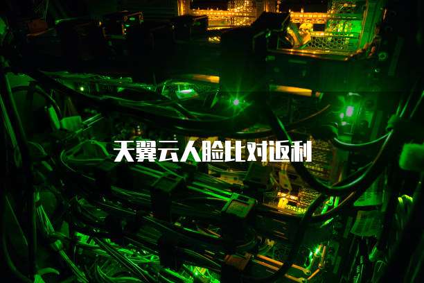 天翼云人脸比对返利