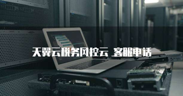 天翼云税务风控云 客服电话