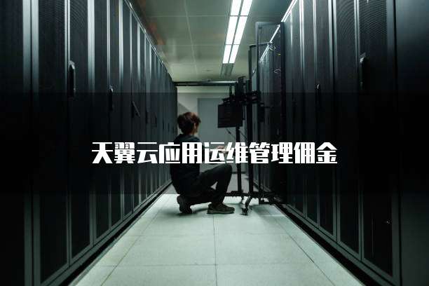 天翼云应用运维管理佣金