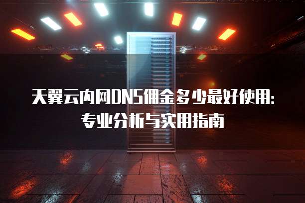 天翼云内网DNS佣金多少最好使用:专业分析与实用指南