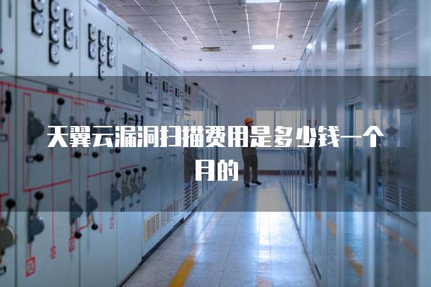 天翼云漏洞扫描费用是多少钱一个月的