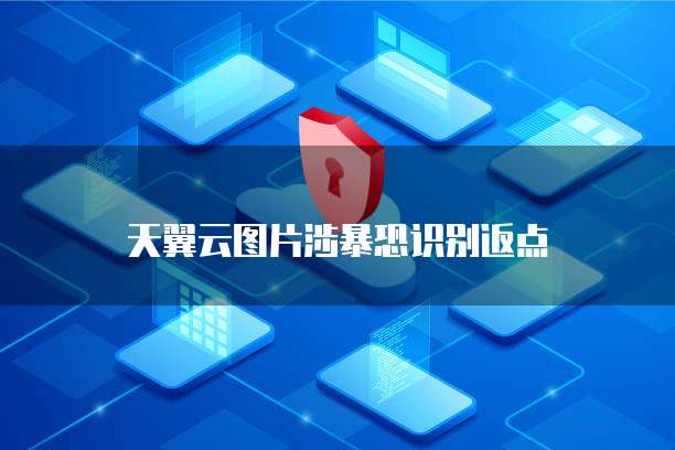 天翼云图片涉暴恐识别返点