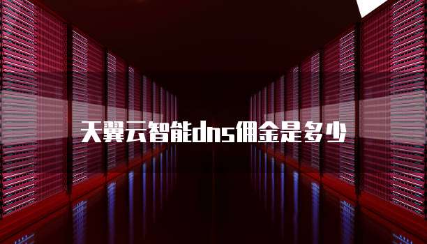 天翼云智能dns佣金是多少
