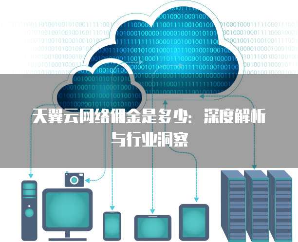 天翼云网络佣金是多少:深度解析与行业洞察