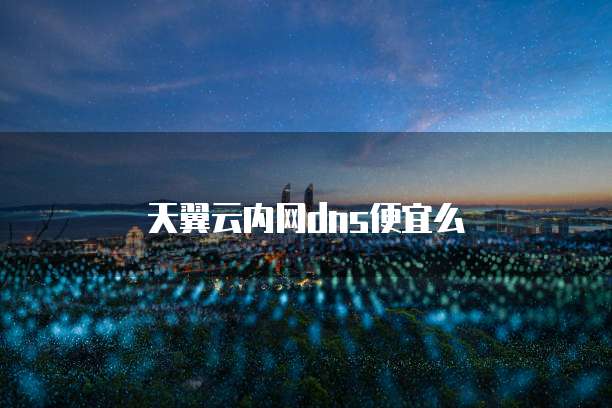 天翼云内网dns便宜么