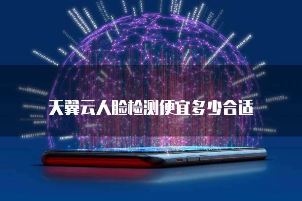 天翼云人脸检测便宜多少合适