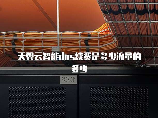 天翼云智能dns续费是多少流量的多少