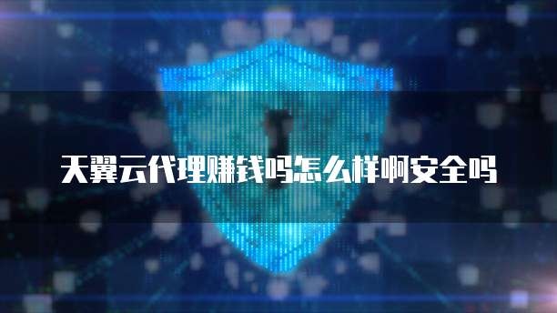 天翼云代理赚钱吗怎么样啊安全吗