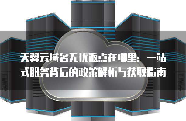 天翼云域名无忧返点在哪里:一站式服务背后的政策解析与获取指南