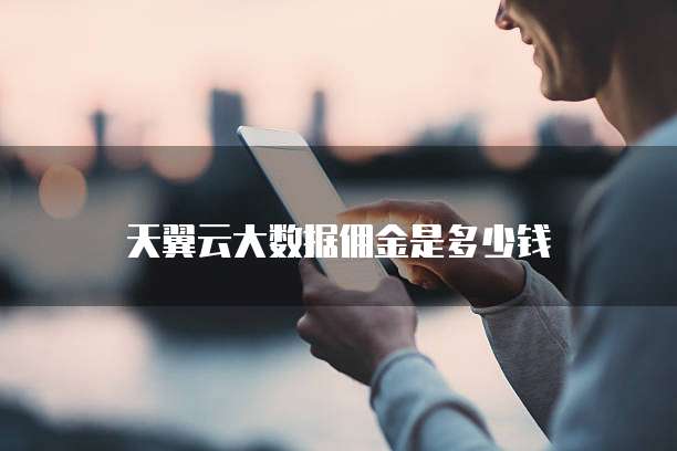 天翼云大数据佣金是多少钱
