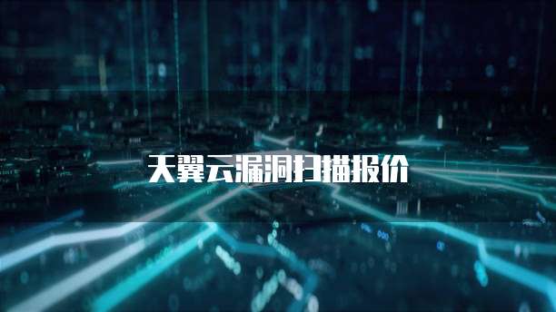 天翼云漏洞扫描报价