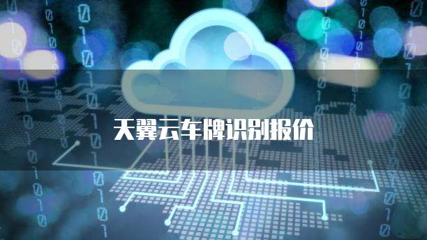 天翼云车牌识别报价