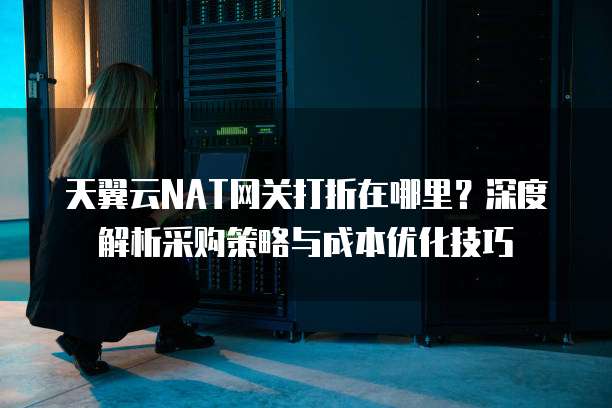 天翼云NAT网关打折在哪里?深度解析采购策略与成本优化技巧