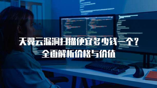 天翼云漏洞扫描便宜多少钱一个?全面解析价格与价值