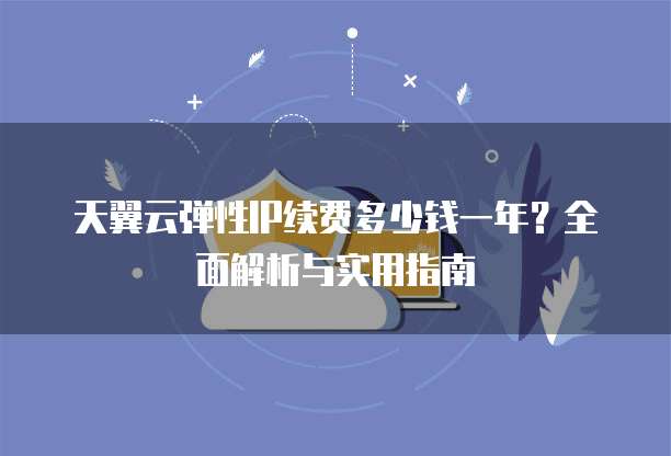 天翼云弹性IP续费多少钱一年？全面解析与实用指南