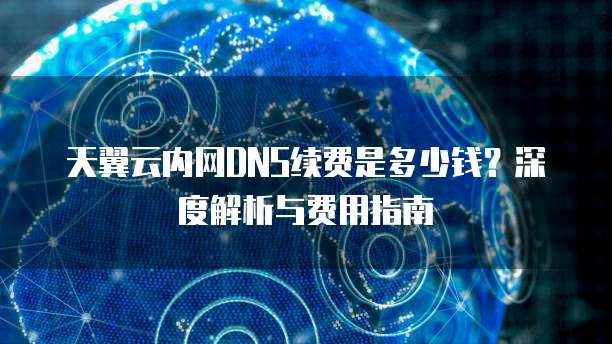 天翼云内网DNS续费是多少钱?深度解析与费用指南