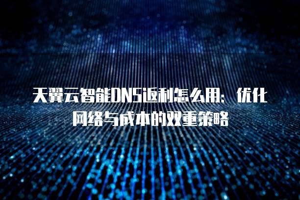 天翼云智能DNS返利怎么用:优化网络与成本的双重策略