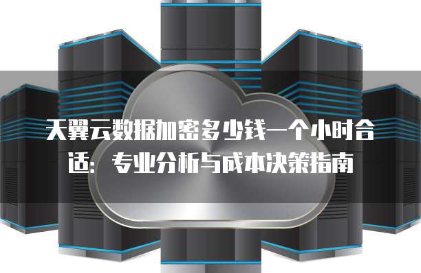 天翼云数据加密多少钱一个小时合适:专业分析与成本决策指南