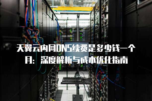 天翼云内网DNS续费是多少钱一个月:深度解析与成本优化指南