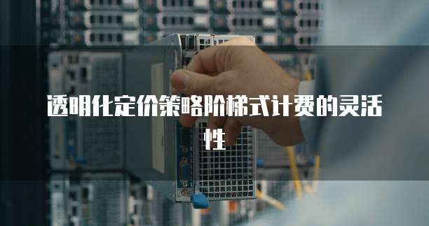 透明化定价策略阶梯式计费的灵活性