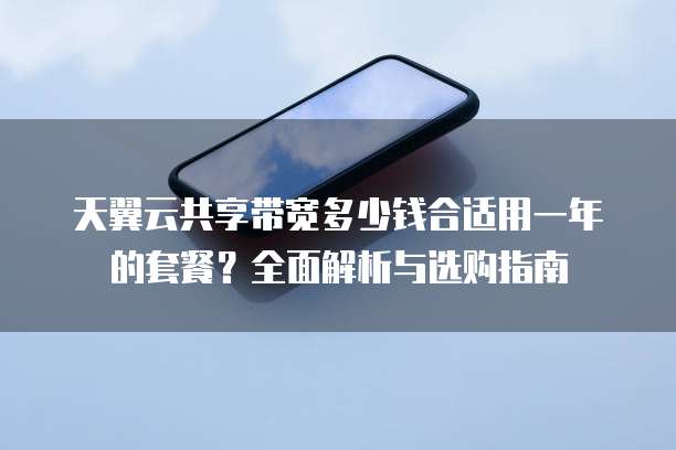 天翼云共享带宽多少钱合适用一年的套餐?全面解析与选购指南