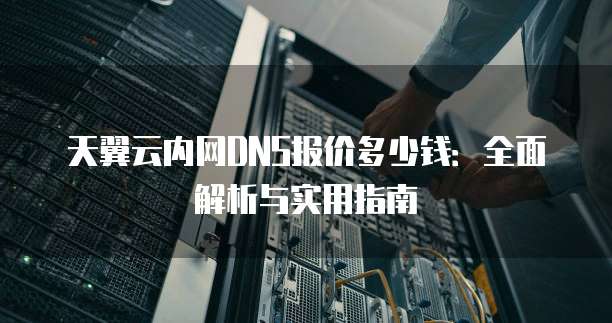 天翼云内网DNS报价多少钱:全面解析与实用指南