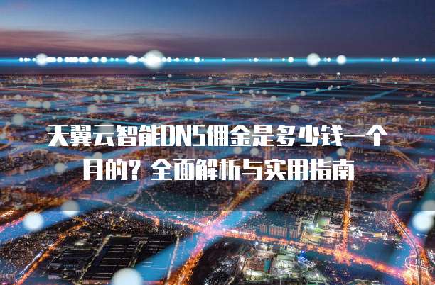 天翼云智能DNS佣金是多少钱一个月的？全面解析与实用指南