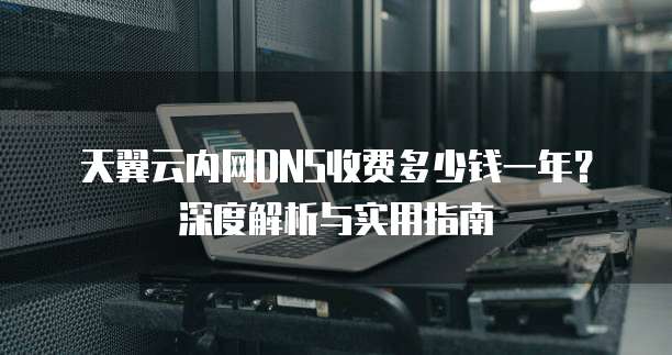 天翼云内网DNS收费多少钱一年？深度解析与实用指南
