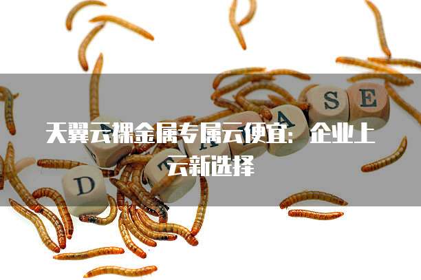 天翼云裸金属专属云便宜:企业上云新选择