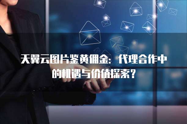 天翼云图片鉴黄佣金:代理合作中的机遇与价值探索?