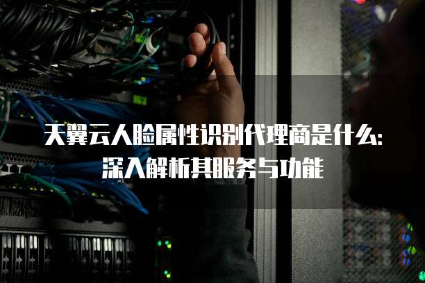 天翼云人脸属性识别代理商是什么:深入解析其服务与功能