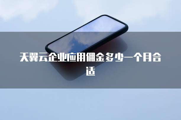 天翼云企业应用佣金多少一个月合适