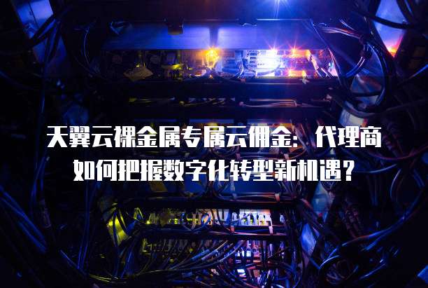 天翼云裸金属专属云佣金:代理商如何把握数字化转型新机遇?
