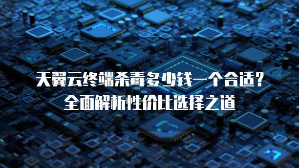 天翼云终端杀毒多少钱一个合适?全面解析性价比选择之道