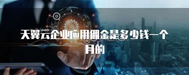 天翼云企业应用佣金是多少钱一个月的