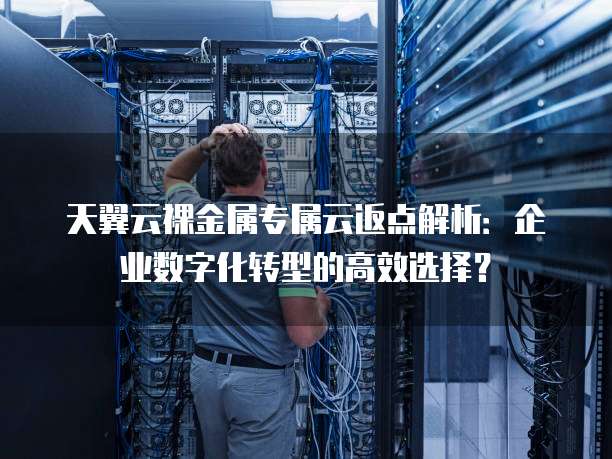 天翼云裸金属专属云返点解析：企业数字化转型的高效选择？