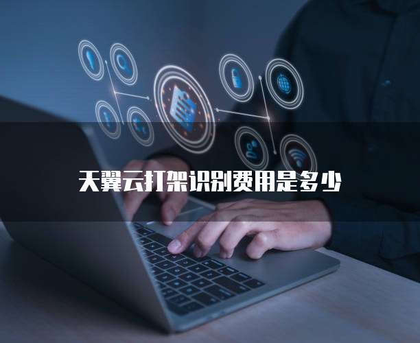 天翼云打架识别费用是多少
